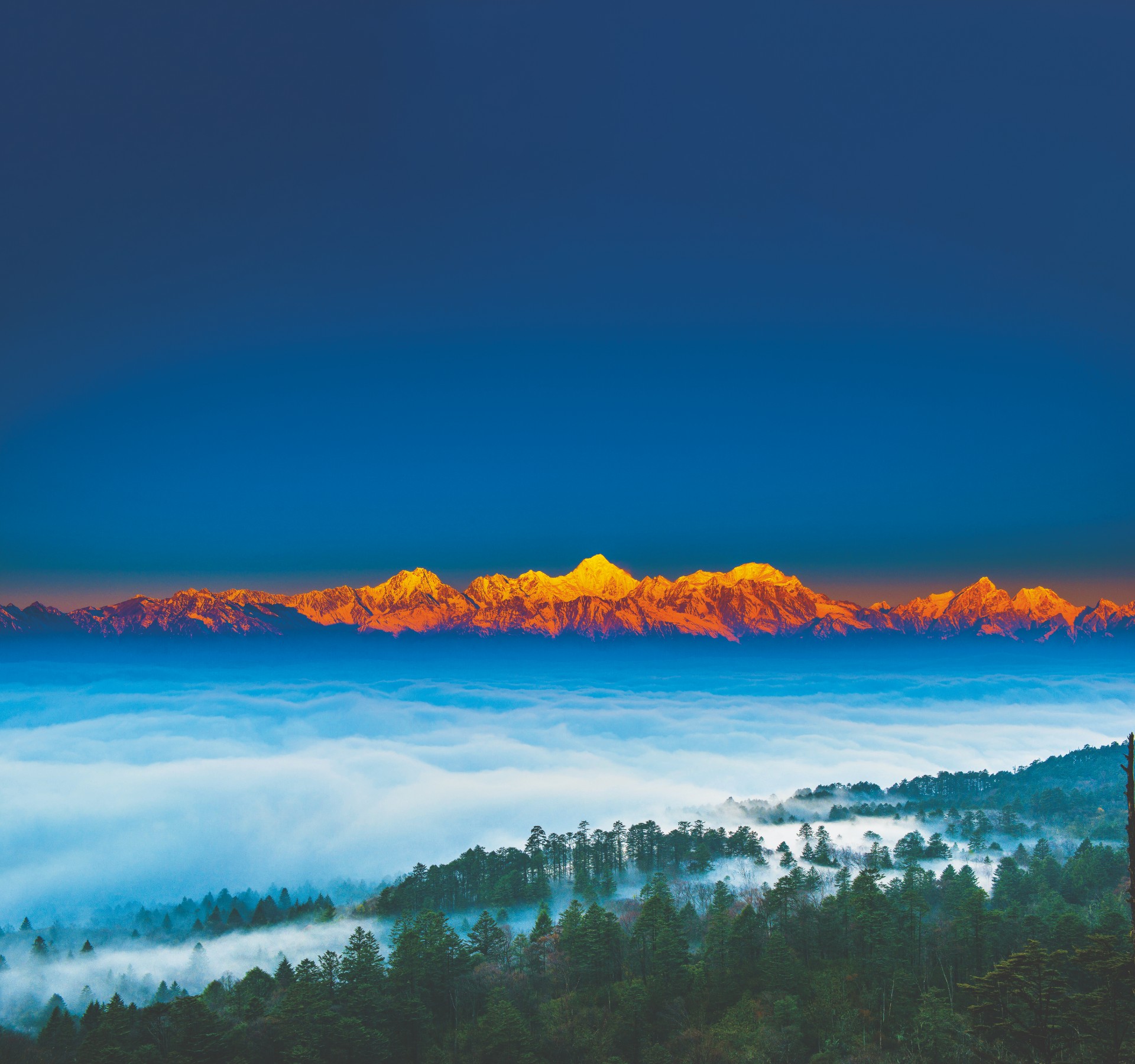 雅安中医药产业项目册