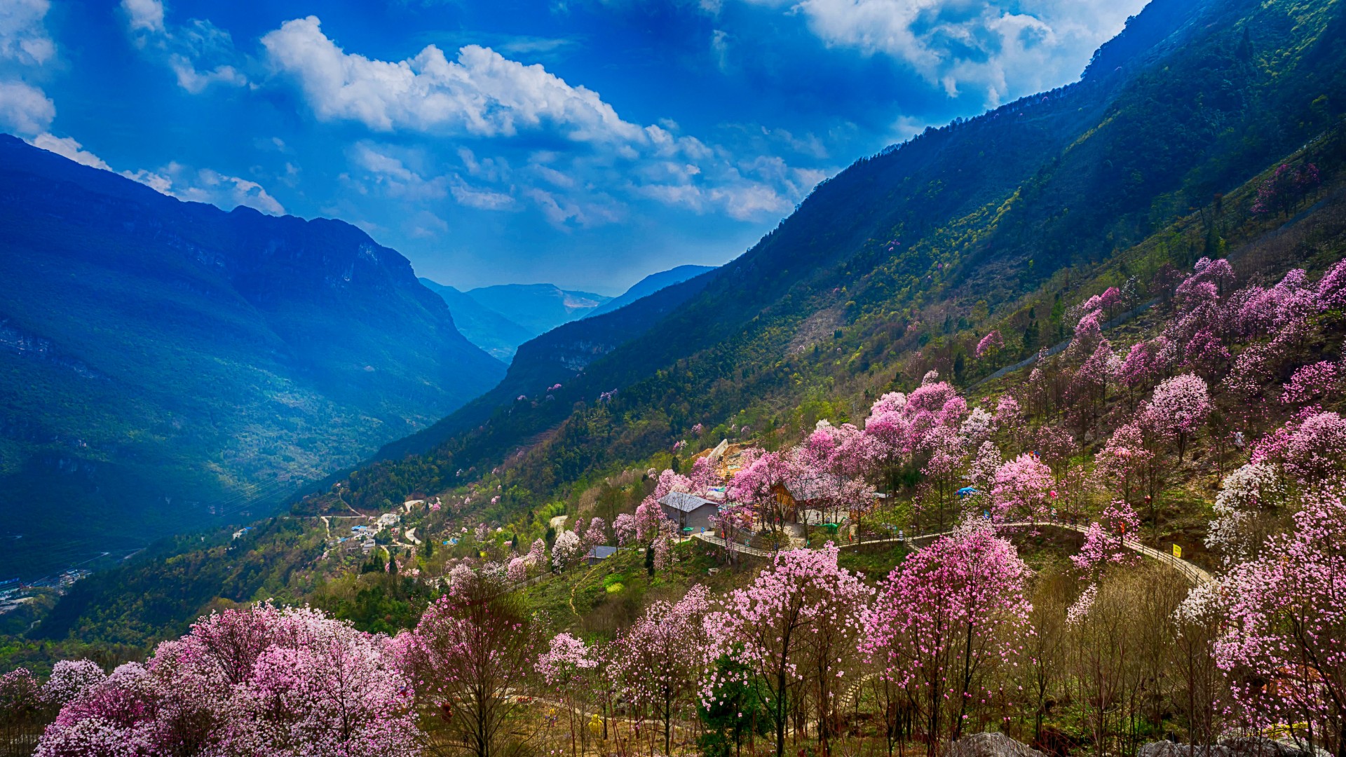 北川县文旅画册